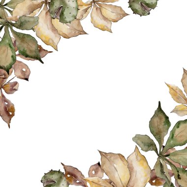 Kestane sonbahar yaprakları. Yaprak bitki botanik bahçe çiçek yaprakları. Çerçeve kenarlığı süsleme Meydanı. Aquarelle yaprak için arka plan, doku, sarıcı desen, çerçeve veya kenarlık.