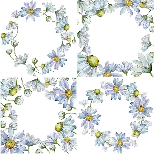 White daisy. Floral botanical flower. Frame border ornament square. Aquarelle wildflower for background, texture, wrapper pattern, frame or border.