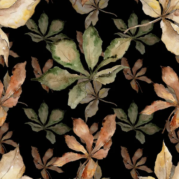 Φύλλα Του Φθινοπώρου Καστανιάς Φύλλο Φυτού Βοτανικός Κήπος Floral Φύλλωμα — Φωτογραφία Αρχείου