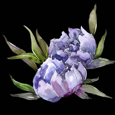 Renkli buket. Botanik çiçek. Vahşi bahar yaprak izole kır çiçeği. Arka plan, doku, sarıcı desen, çerçeve veya kenarlık için Aquarelle kır çiçeği.