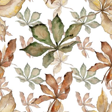 Kestane sonbahar yaprakları. Yaprak bitki botanik bahçe çiçek yaprakları. Sorunsuz arka plan deseni. Aquarelle yaprak için arka plan, doku, sarıcı desen, çerçeve veya kenarlık.