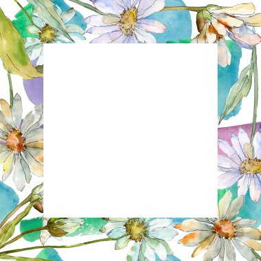 Beyaz papatya. Botanik çiçek. Çerçeve kenarlığı süsleme Meydanı. Arka plan, doku, sarıcı desen, çerçeve veya kenarlık için Aquarelle kır çiçeği.