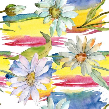Beyaz papatya. Botanik çiçek. Sorunsuz arka plan deseni. Kumaş duvar kağıdı yazdırma doku. Arka plan, doku, sarıcı desen, çerçeve veya kenarlık için Aquarelle kır çiçeği.