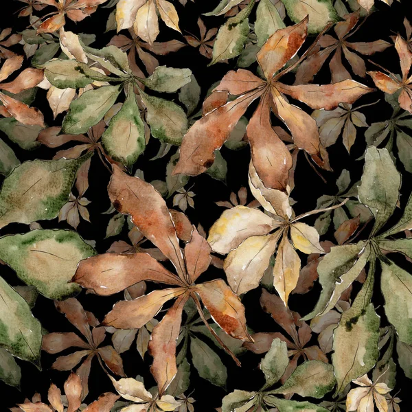 Φύλλα Του Φθινοπώρου Καστανιάς Φύλλο Φυτού Βοτανικός Κήπος Floral Φύλλωμα — Φωτογραφία Αρχείου