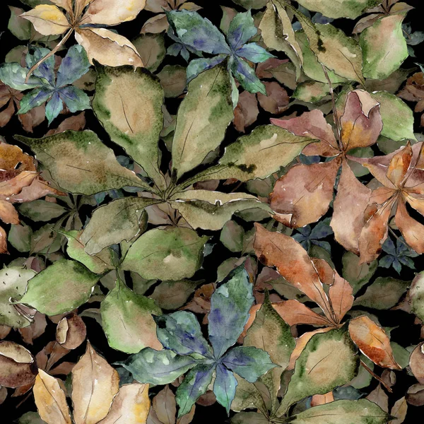 Folhas Castanha Outono Folha Planta Botânica Jardim Folhagem Floral Padrão — Fotografia de Stock