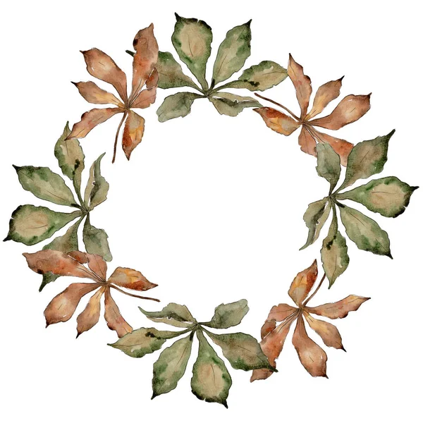 Herbstkastanienblätter Blattpflanze Botanischer Garten Florales Laub Rahmen Bordüre Ornament Quadrat — Stockfoto