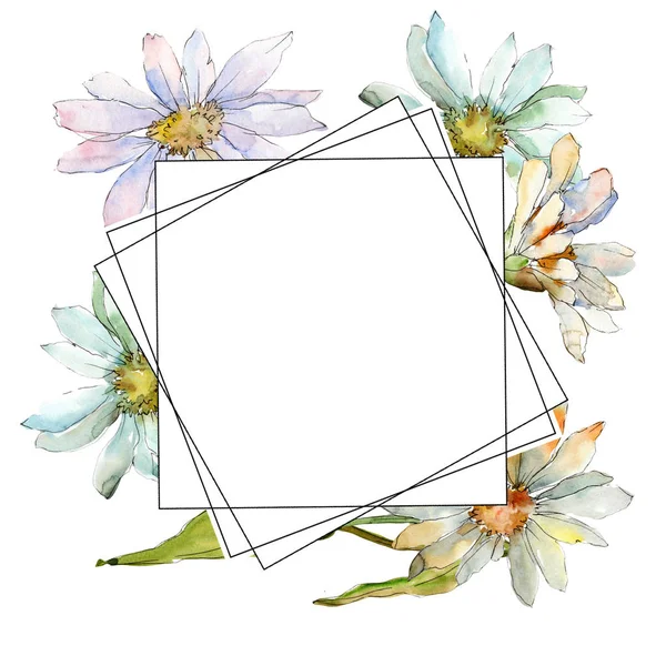 白雏菊 花卉植物花 框边框装饰广场 包装图案 框架或边框的水彩画野花 — 图库照片