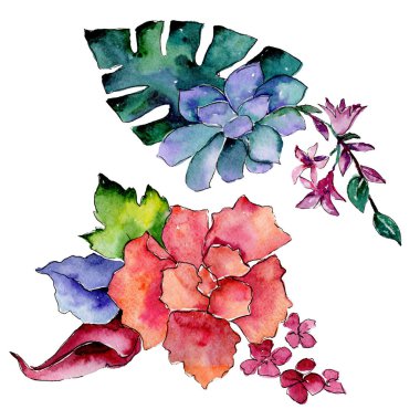 Tropikal buket çiçek. Botanik çiçek. Vahşi bahar yaprak izole kır çiçeği. Arka plan, doku, sarıcı desen, çerçeve veya kenarlık için Aquarelle kır çiçeği.