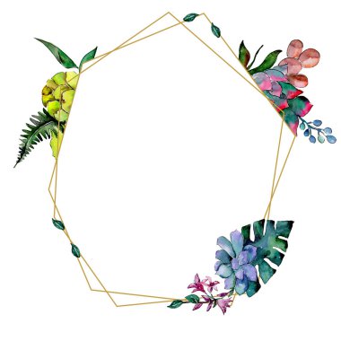 Tropikal buket çiçek. Botanik çiçek. Çerçeve kenarlığı süsleme Meydanı. Arka plan, doku, sarıcı desen, çerçeve veya kenarlık için Aquarelle kır çiçeği.