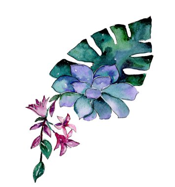 Tropikal buket çiçek. Botanik çiçek. Vahşi bahar yaprak izole kır çiçeği. Arka plan, doku, sarıcı desen, çerçeve veya kenarlık için Aquarelle kır çiçeği.