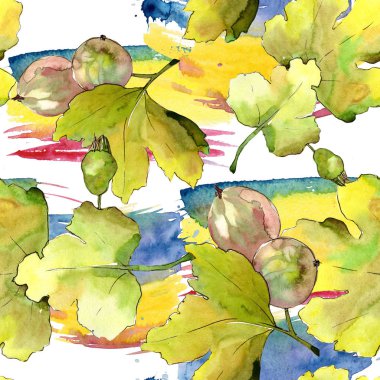 Bektaşi üzümü yaprak ve meyve suluboya tarzında. Sorunsuz arka plan deseni. Kumaş duvar kağıdı yazdırma doku. Aquarelle yaprak için arka plan, doku, sarıcı desen, çerçeve veya kenarlık.