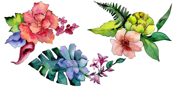 Tropikal Buket Çiçek Botanik Çiçek Vahşi Bahar Yaprak Izole Kır — Stok fotoğraf