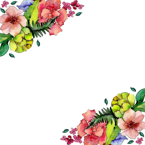 热带花束花 花卉植物花 框边框装饰广场 包装图案 框架或边框的水彩画野花 — 图库照片