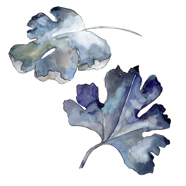 Bektaşi Üzümü Yaprağı Izole Bir Suluboya Tarzında Aquarelle Yaprak Için — Stok fotoğraf