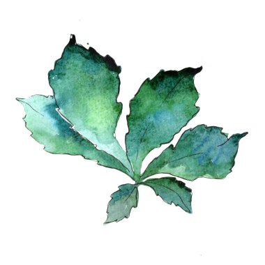 Kestane rengi yeşil yaprak. Yaprak bitki botanik bahçe çiçek yaprakları.