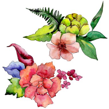 Tropikal buket çiçek. Botanik çiçek. İzole vahşi bahar yaprak kır çiçeği.