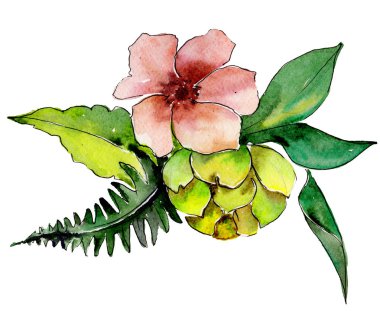 Tropikal buket çiçek. Botanik çiçek. İzole vahşi bahar yaprak kır çiçeği.