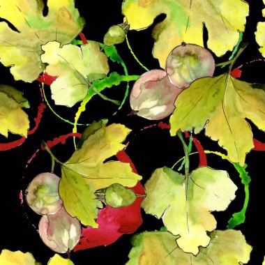 Bektaşi üzümü yaprak ve meyve. Yaprak bitki botanik bahçe çiçek yaprakları. Sorunsuz arka plan deseni.