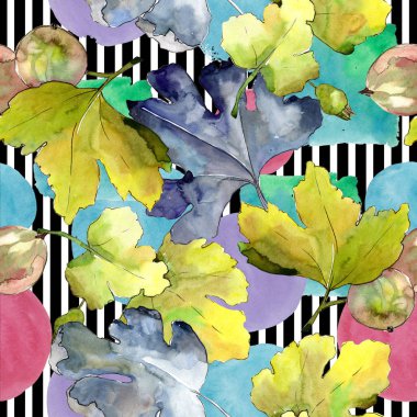 Bektaşi üzümü yaprak ve meyve. Yaprak bitki botanik bahçe çiçek yaprakları. Sorunsuz arka plan deseni.