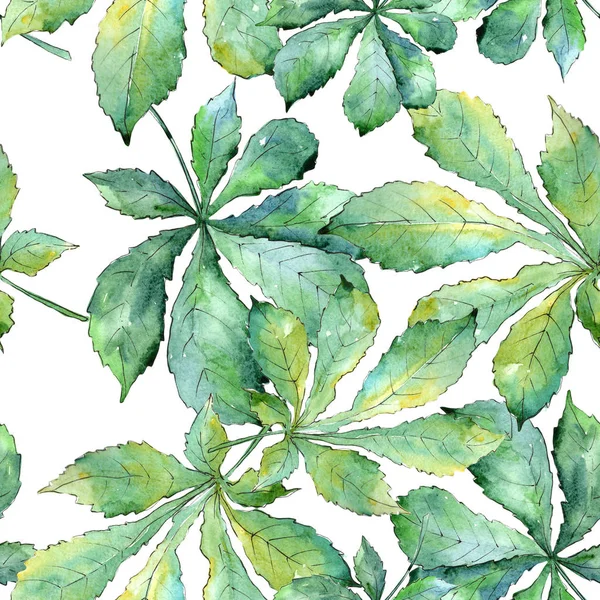 栗のグリーン リーフ。葉植物植物園花葉。シームレスな背景パターン. — ストック写真