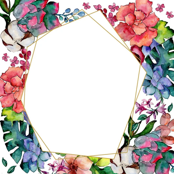 Tropical bouquet flower. Floral botanical flower. Frame border ornament square. — Stock Photo, Image