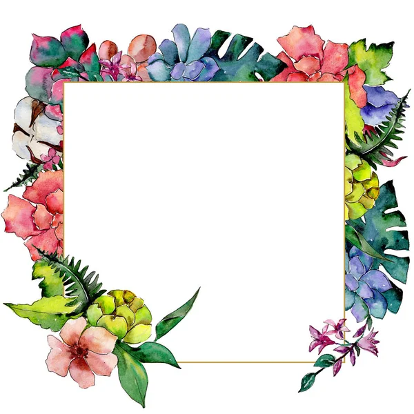 Tropical bouquet flower. Floral botanical flower. Frame border ornament square. — Stock Photo, Image