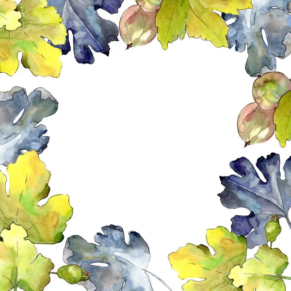Φραγκοστάφυλο φύλλων και των μούρων. Φύλλο φυτού Βοτανικός Κήπος floral φύλλωμα. Πλαίσιο συνόρων στολίδι τετράγωνο. — Φωτογραφία Αρχείου