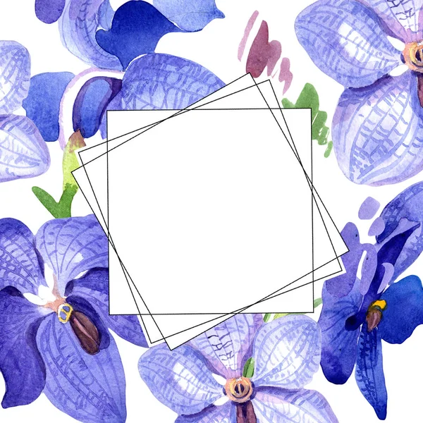 Orchid Blå vanda. Blommig botaniska blomma. Ram gränsen prydnad square. — Stockfoto