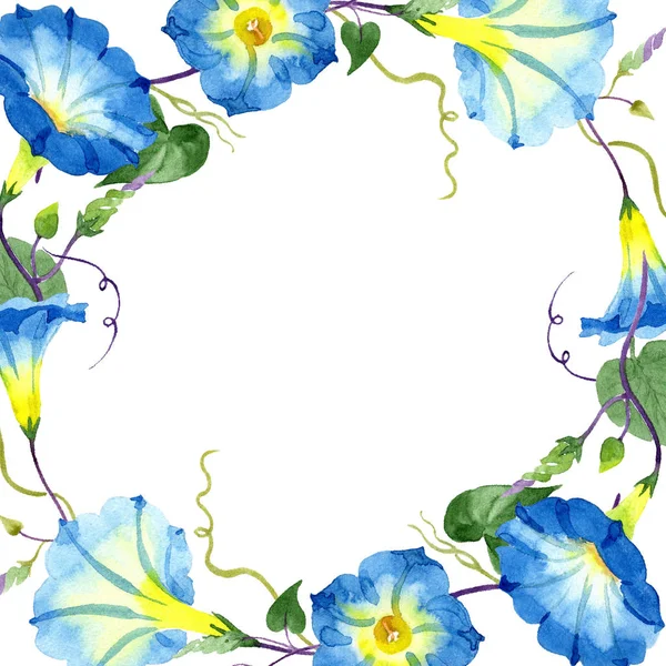 Ipomoea kék. Virágos botanikai virág. Test határ Dísz tér. — Stock Fotó