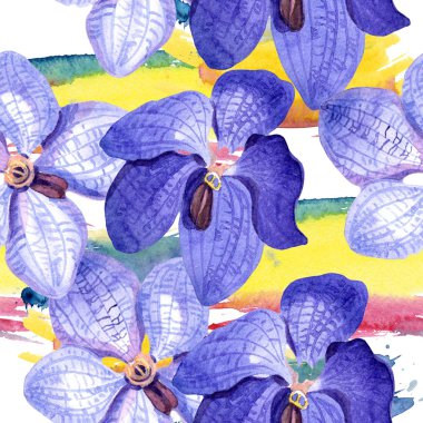 Mavi Orkide vanda. Sorunsuz arka plan deseni. Kumaş duvar kağıdı yazdırma doku. Arka plan, doku, sarıcı desen, çerçeve veya kenarlık için Aquarelle kır çiçeği.