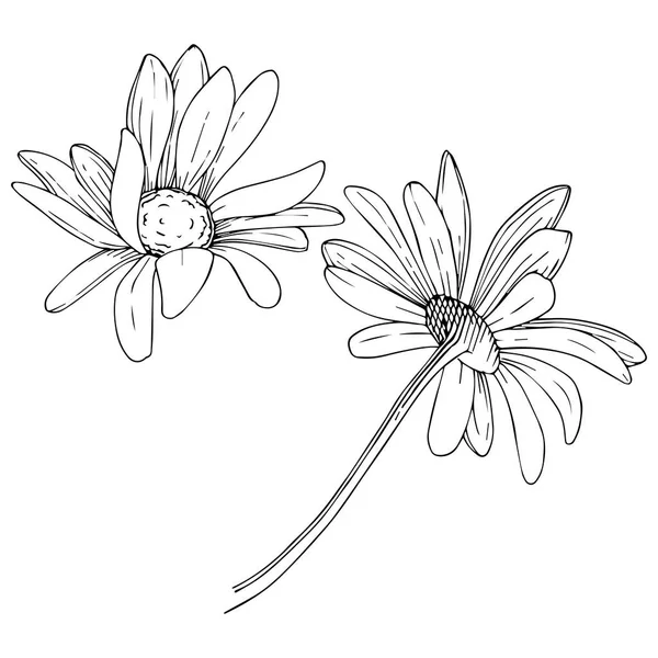 Drawings: black and white lotus flower | Black and white lotus flower ...
