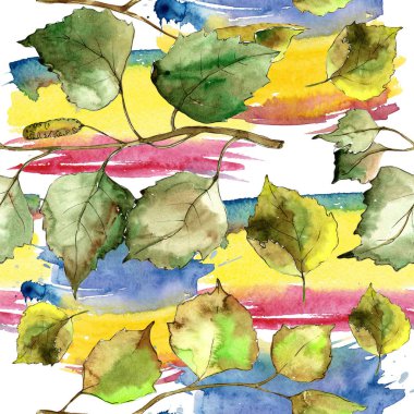 Yeşil huş ağacı yaprakları. Yaprak bitki botanik bahçe çiçek yaprakları. Sorunsuz arka plan deseni. Kumaş duvar kağıdı yazdırma doku. Aquarelle yaprak için arka plan, doku, sarıcı desen, çerçeve veya kenarlık.