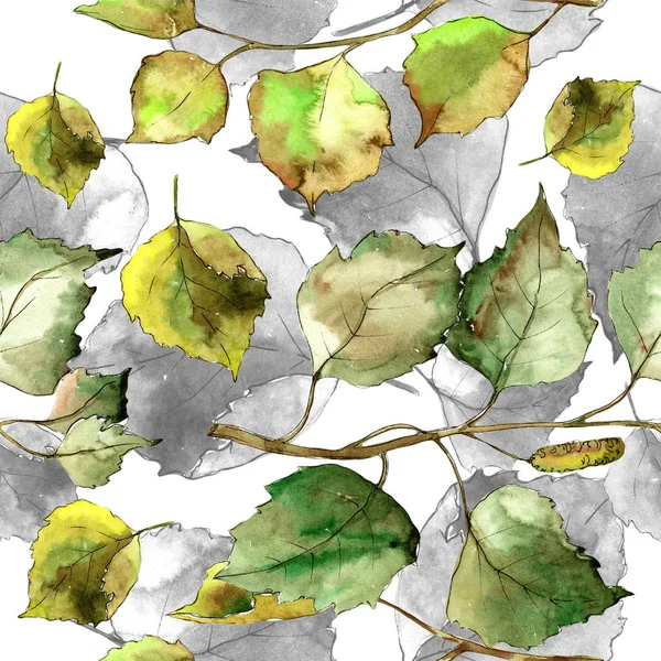 Grönt Björklöv Leaf Växt Botaniska Trädgård Blommig Bladverk Sömlös Bakgrundsmönster — Stockfoto