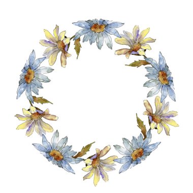 Kır çiçeği daisy. Botanik çiçek. Çerçeve kenarlığı süsleme Meydanı. Arka plan, doku, sarıcı desen, çerçeve veya kenarlık için Aquarelle kır çiçeği.