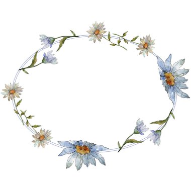 Kır çiçeği daisy. Botanik çiçek. Çerçeve kenarlığı süsleme Meydanı. Arka plan, doku, sarıcı desen, çerçeve veya kenarlık için Aquarelle kır çiçeği.