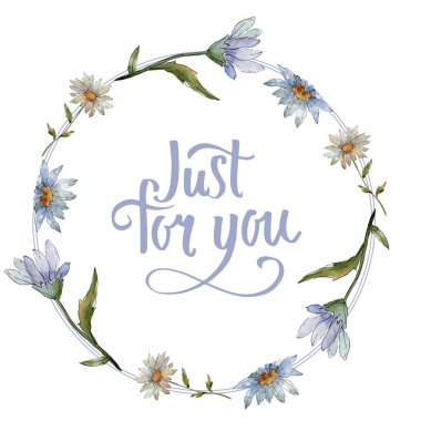 Kır çiçeği daisy. Botanik çiçek. Çerçeve kenarlığı süsleme Meydanı. Arka plan, doku, sarıcı desen, çerçeve veya kenarlık için Aquarelle kır çiçeği.