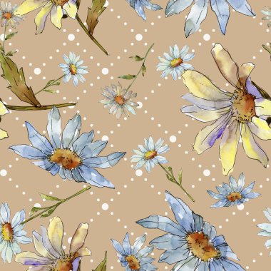 Kır çiçeği daisy. Botanik çiçek. Sorunsuz arka plan deseni. Kumaş duvar kağıdı yazdırma doku. Arka plan, doku, sarıcı desen, çerçeve veya kenarlık için Aquarelle kır çiçeği.