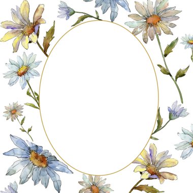 Kır çiçeği daisy. Botanik çiçek. Çerçeve kenarlığı süsleme Meydanı. Arka plan, doku, sarıcı desen, çerçeve veya kenarlık için Aquarelle kır çiçeği.