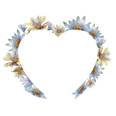 Kır çiçeği daisy. Botanik çiçek. Çerçeve kenarlığı süsleme Meydanı. Arka plan, doku, sarıcı desen, çerçeve veya kenarlık için Aquarelle kır çiçeği.