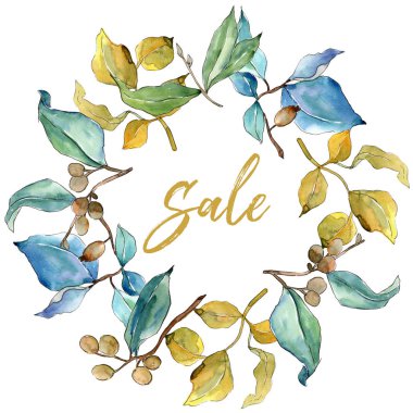 İğde suluboya tarzında bırakır. Çerçeve kenarlığı süsleme Meydanı. Aquarelle yaprak için arka plan, doku, sarıcı desen, çerçeve veya kenarlık.