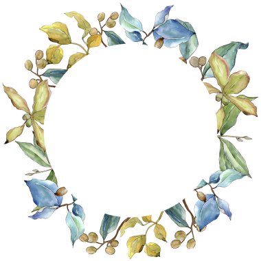 İğde suluboya tarzında bırakır. Çerçeve kenarlığı süsleme Meydanı. Aquarelle yaprak için arka plan, doku, sarıcı desen, çerçeve veya kenarlık.