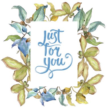 İğde suluboya tarzında bırakır. Çerçeve kenarlığı süsleme Meydanı. Aquarelle yaprak için arka plan, doku, sarıcı desen, çerçeve veya kenarlık.