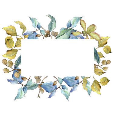 İğde suluboya tarzında bırakır. Çerçeve kenarlığı süsleme Meydanı. Aquarelle yaprak için arka plan, doku, sarıcı desen, çerçeve veya kenarlık.