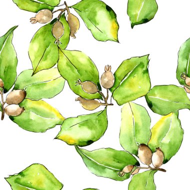 İğde suluboya tarzında bırakır. Sorunsuz arka plan deseni. Kumaş duvar kağıdı yazdırma doku. Aquarelle yaprak için arka plan, doku, sarıcı desen, çerçeve veya kenarlık.