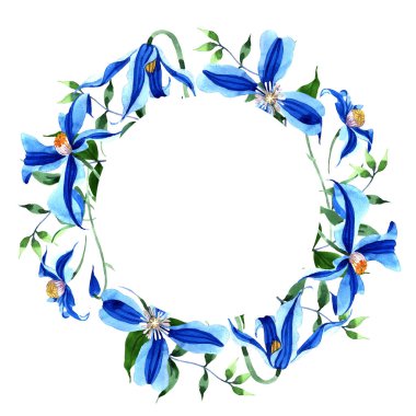Mavi durandii akasma. Botanik çiçek. Çerçeve kenarlığı süsleme Meydanı. Arka plan, doku, sarıcı desen, çerçeve veya kenarlık için Aquarelle kır çiçeği.