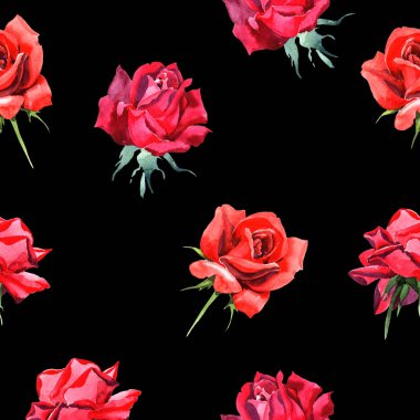 Kırmızı hibrid yükseldi. Botanik çiçek. Sorunsuz arka plan deseni. Kumaş duvar kağıdı yazdırma doku. Arka plan, doku, sarıcı desen, çerçeve veya kenarlık için Aquarelle kır çiçeği.