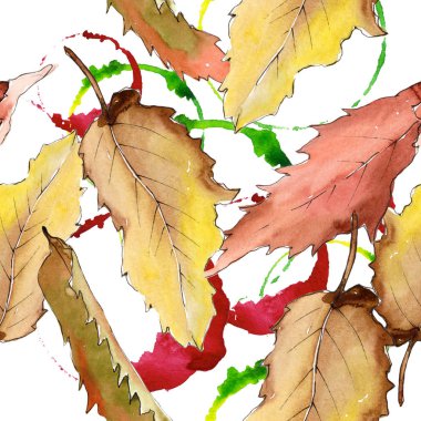 Tatlı kestane suluboya tarzında bırakır. Sorunsuz arka plan deseni. Kumaş duvar kağıdı yazdırma doku. Aquarelle yaprak için arka plan, doku, sarıcı desen, çerçeve veya kenarlık.