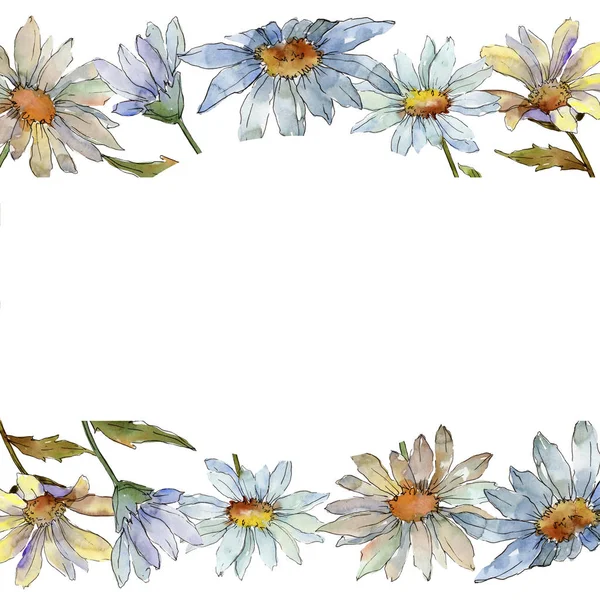 Margarida Flores Silvestres Floral Flor Botânica Quadro Borda Ornamento Quadrado — Fotografia de Stock