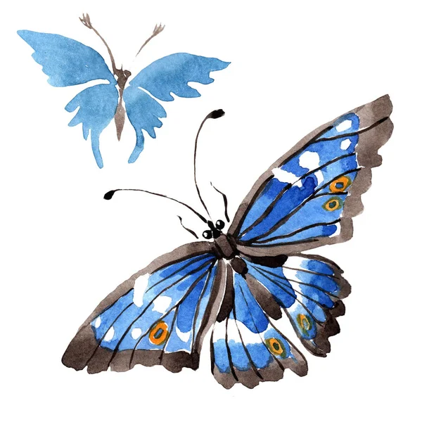 Seltene Schmetterlinge Wildes Insekt Einem Aquarell Stil Isoliert Aquarell Wildinsekt — Stockfoto