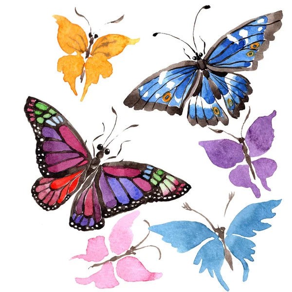 Rare Butterflies Wild Insect Watercolor Style Isolated Aquarelle Wild Insect — Stock Photo, Image